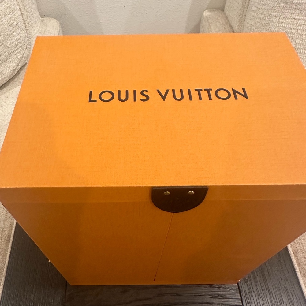 Louis Vuitton Python Twist Handbag - image 3